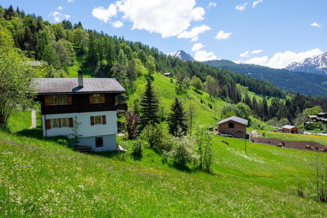 Chalet Orion Бельвальд Экстерьер фото